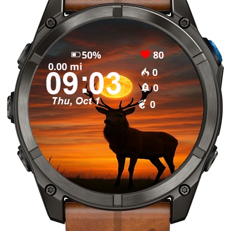 Red Deer Antlers Stands Sunset · Screenshot 1