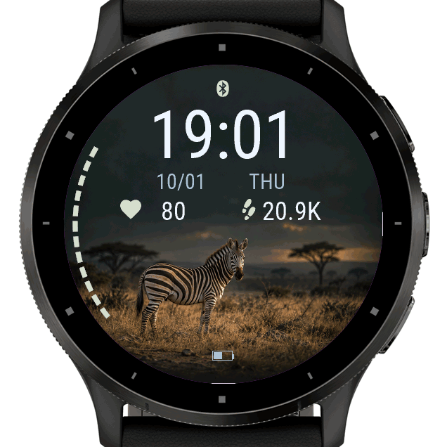 plains zebra · Screenshot 1