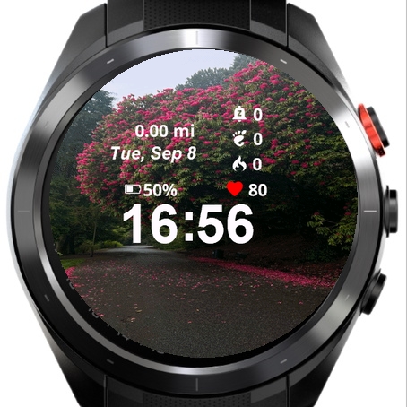 Road Pink Flowers Leaves · Screenshot 2