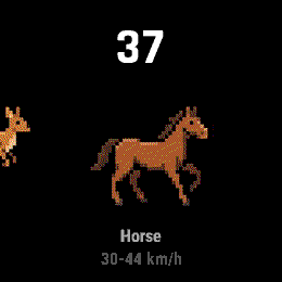 Wild Speed · Screenshot 4