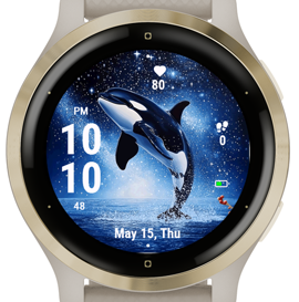 Star Orca · Screenshot 2
