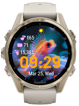 Beautiful Fish · Screenshot 0