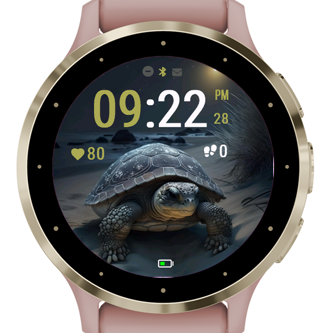 Night Tortoise · Screenshot 0