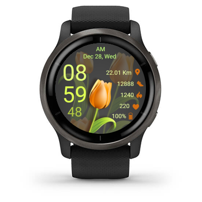 Tulip 02 · Screenshot 2