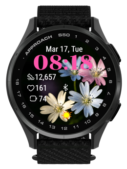 Small Chrysanthemum · Screenshot 3