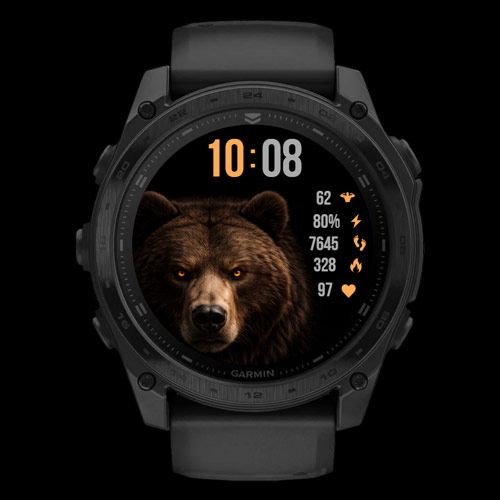 BearForce X · Screenshot 0
