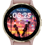 Sunset Palms 4