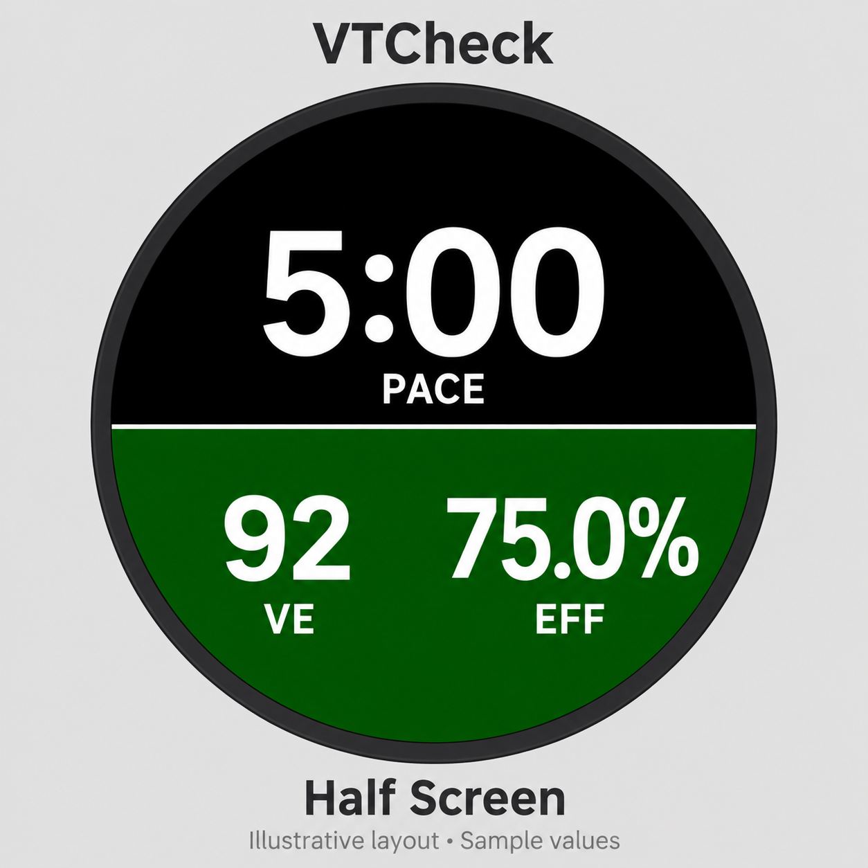 VTCheck Data Field · Screenshot 1