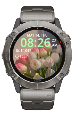 Sunlit Tulip · Screenshot 2