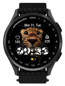 Leopard Face · Screenshot 2