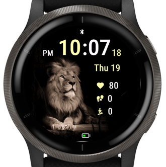Shadow Lion · Screenshot 3