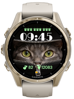 Cat Day · Screenshot 0