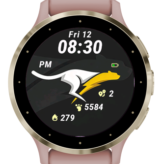 Swift Kangaroo · Screenshot 1