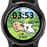 Frisbee Pup 5
