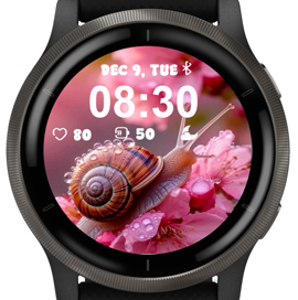 Pink Snail · Screenshot 0
