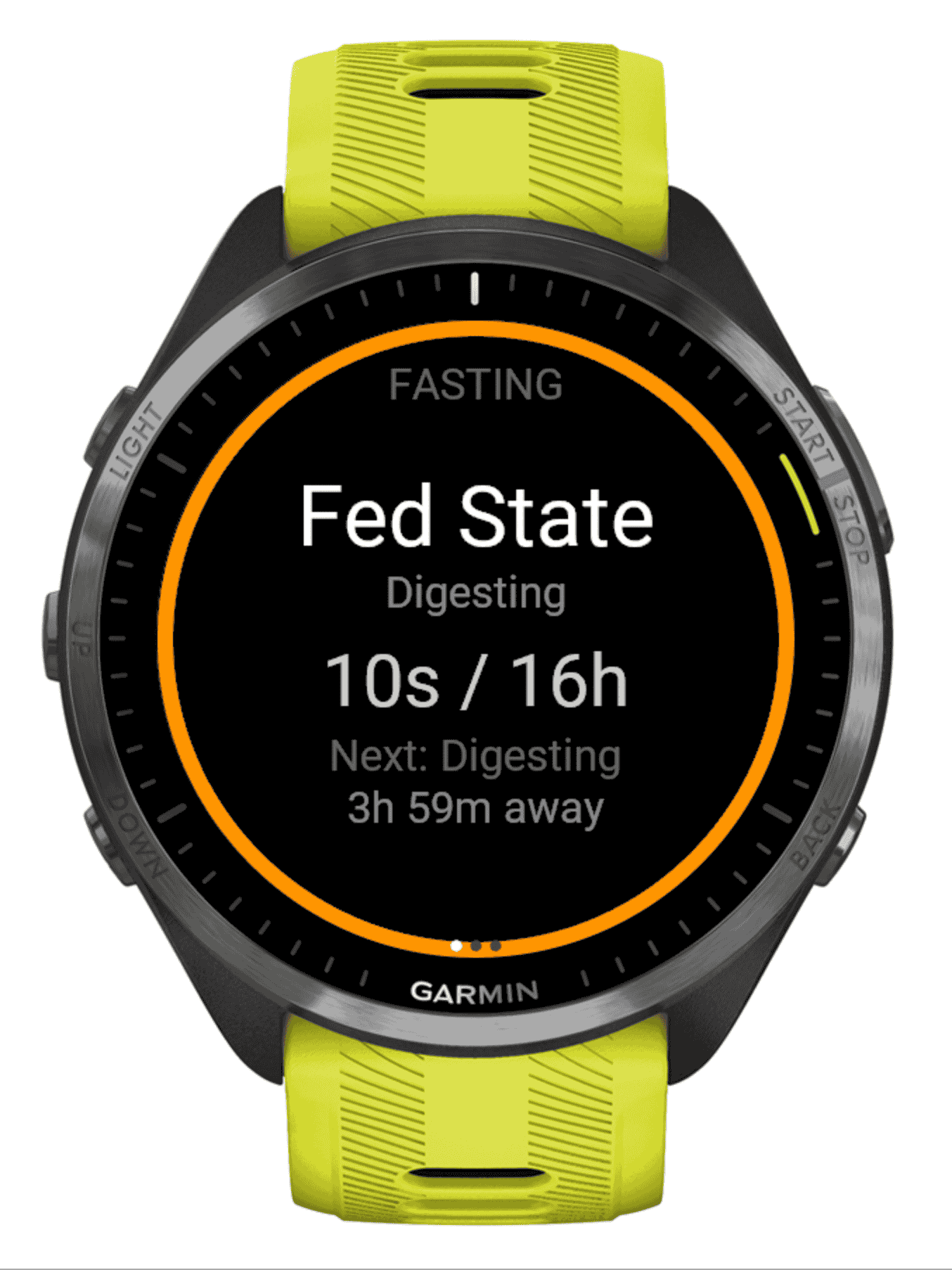 Fasting Tracker — IF, Ketosis & Autophagy 5