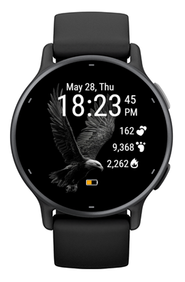 Midnight Eagle · Screenshot 3