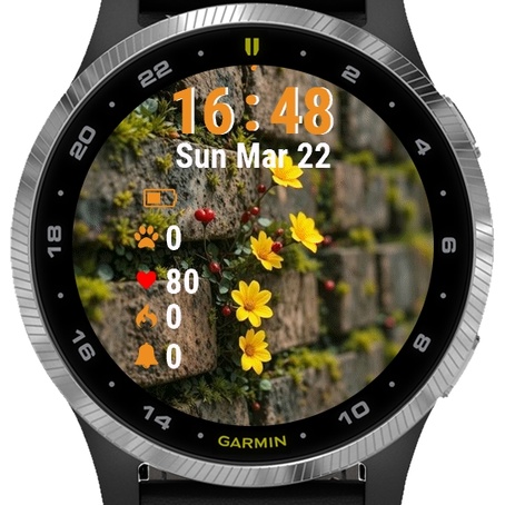 Yellow Flowers Growing · Screenshot 0