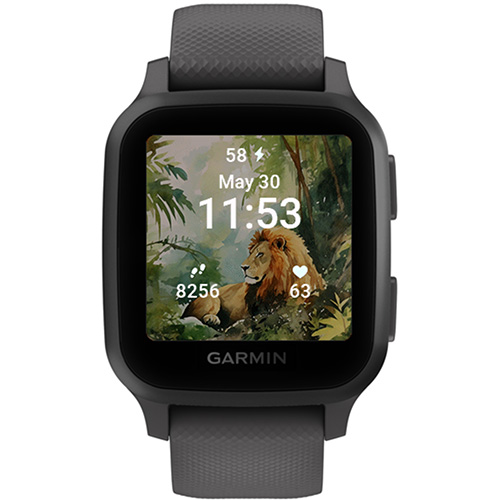 Wildlife · Screenshot 1