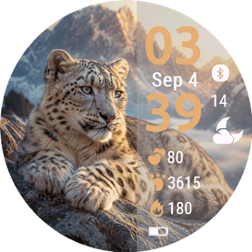 Snow Leopard · Screenshot 0