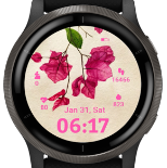 Bougainvillea · Screenshot 3