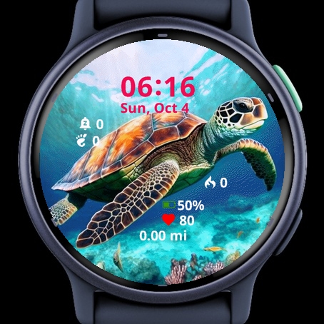 Painting Turtle · Screenshot 2