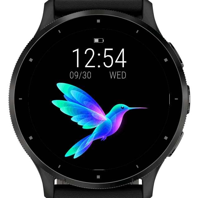 Aurora Humming Bird · Screenshot 1