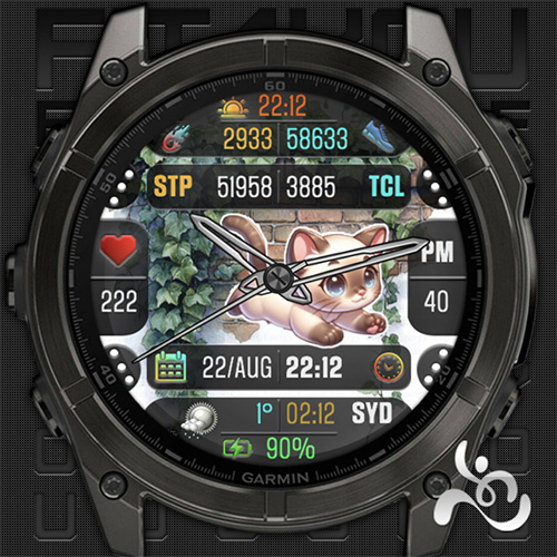 Fit4U – 055.4 – Cat Series 4 · Screenshot 2