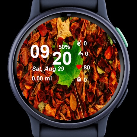 Close Up Leaf Laying Ground · Screenshot 2