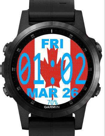 FlagWatch · Screenshot 3