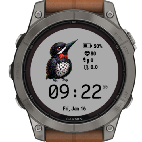 Cute Woodpecker 2