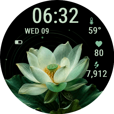 emerald · Screenshot 1