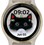 Soapy Kitty · Screenshot 3