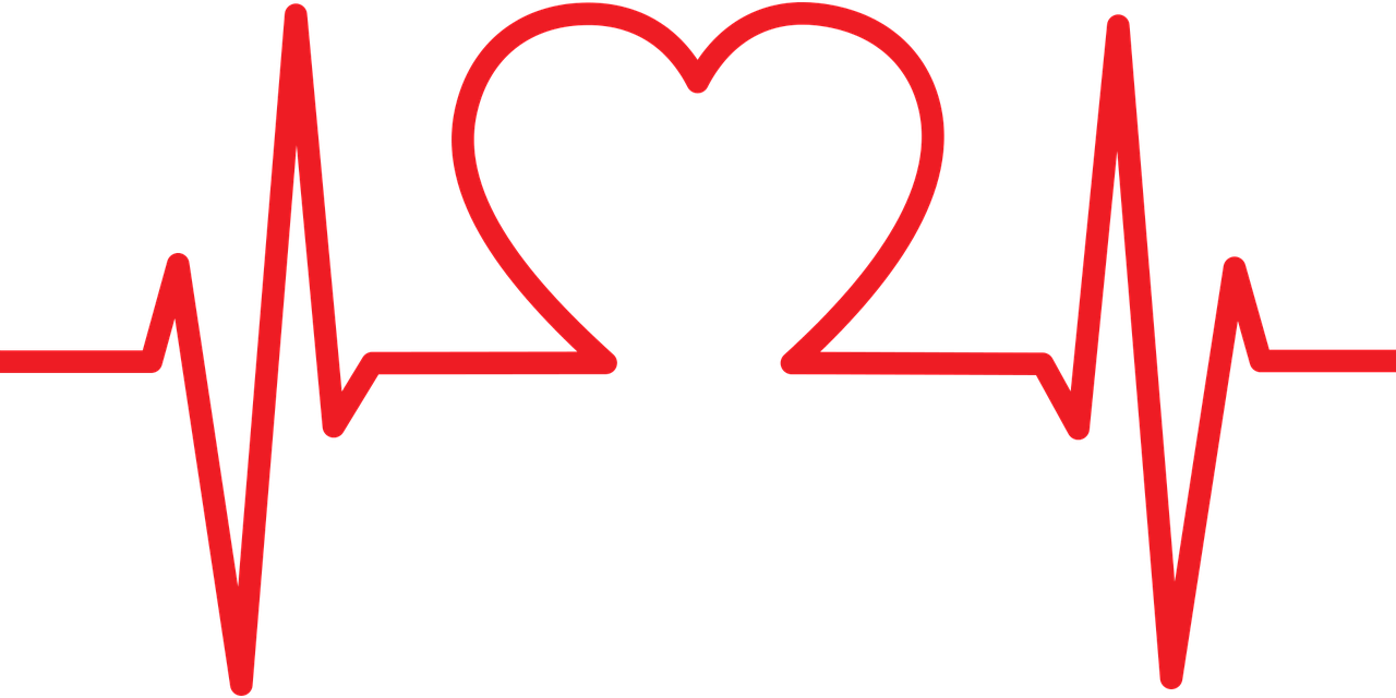 Max Heart Rate data field · Screenshot 0