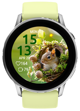 Squirrel Sky 5