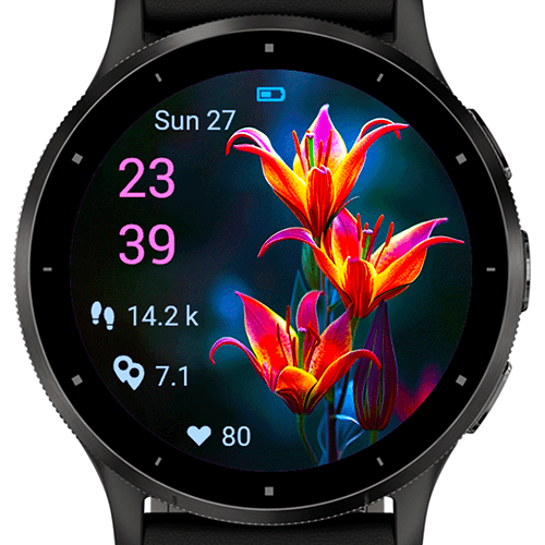 Twilight Fire Flower G · Screenshot 4