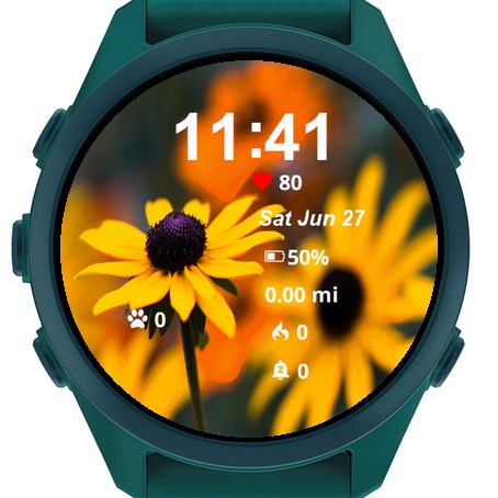 Close Up Some Yellow Flowers · Screenshot 2
