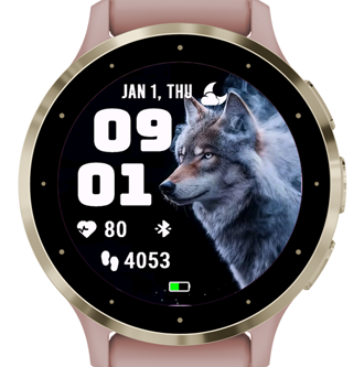 Wolf Ten · Screenshot 3