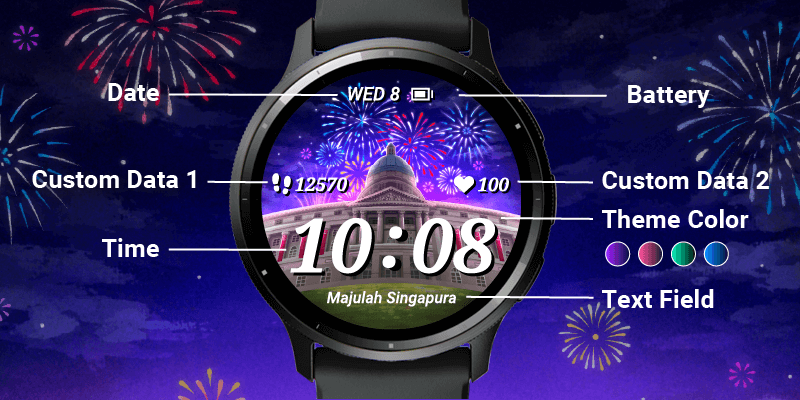2024新加坡国庆游行 · Screenshot 0