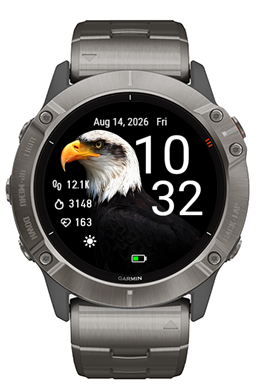 bald Eagle · Screenshot 2
