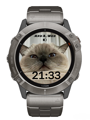 Cat · Screenshot 0