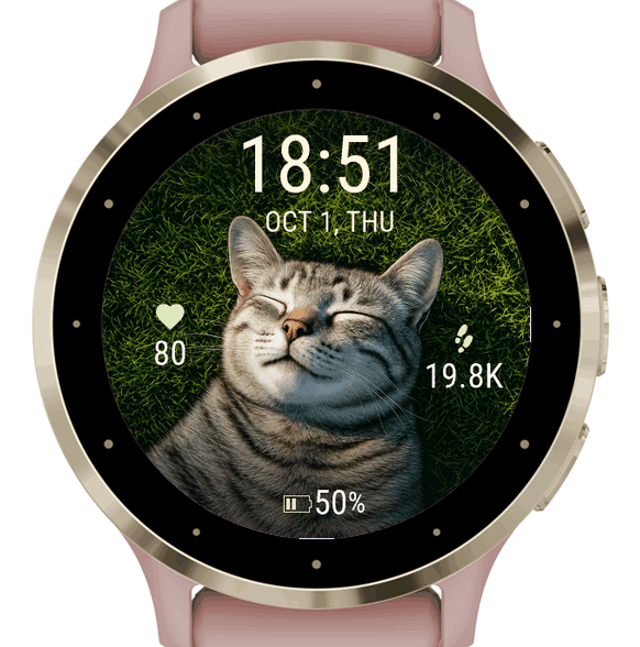 sleeping cat · Screenshot 0