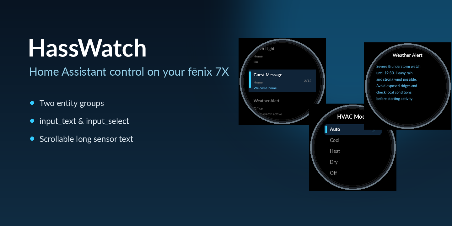 HassWatch · Screenshot 0