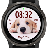 Thinking Dog · Screenshot 3