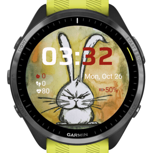 Angry Bunny · Στιγμιότυπο 2