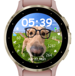 Glasses doggo 4