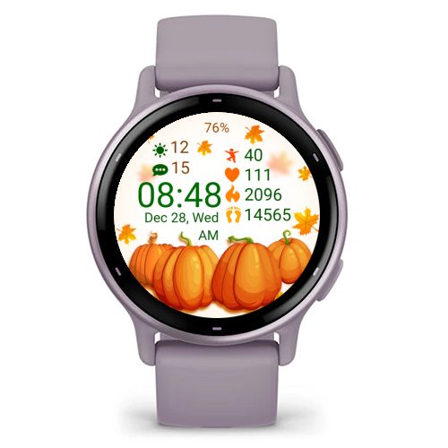 Thanksgiving Pumpkins · Screenshot 4