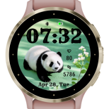 Panda 4
