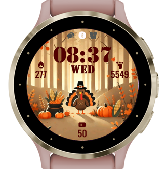 Thanksgiving Turkey · Screenshot 1