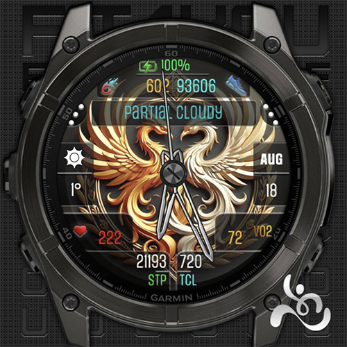 Fit4U 039 – Twin Phoenix · Screenshot 2